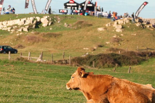 La Vaca Gigante